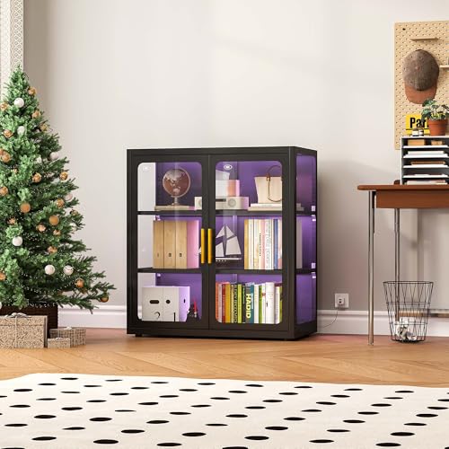 Display Cabinet with Glass Doo - огляд і ціна Lighting & Home Decor Studio